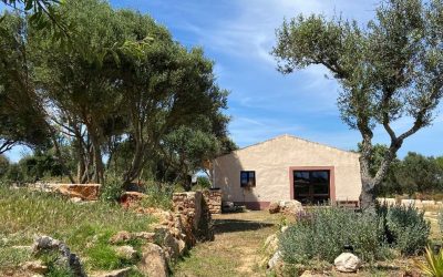 Introducing Mud Valley Foundation, a new Bioregional Learning Center in southwestern Portugal