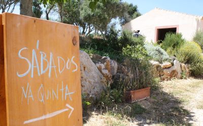 Saturdays at the Farm- A free educational program focused on regeneration and ecosystem-related topics