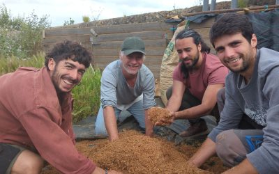Ecosystem Regeneration Camps Teach Valuable Restoration Theory and Practical Skills!